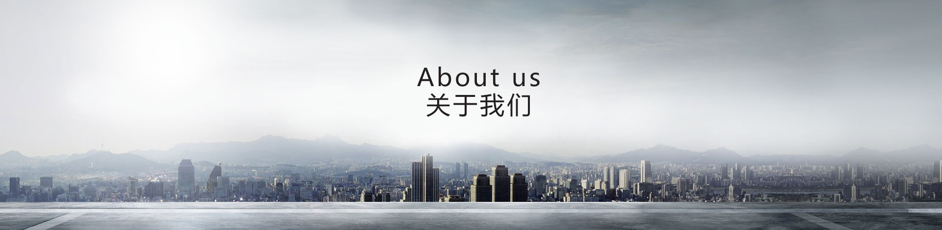 公司简介